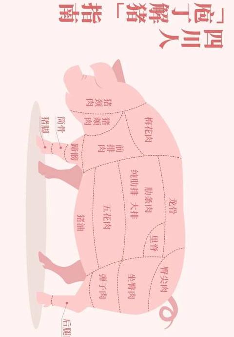 大字的多样含义解析