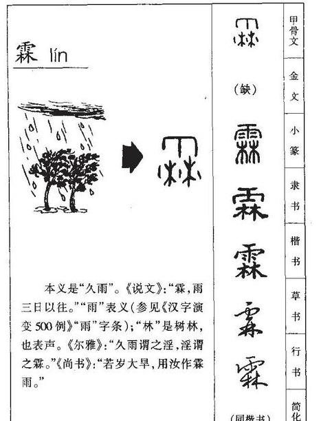 霖字男孩名字寓意与取名指南